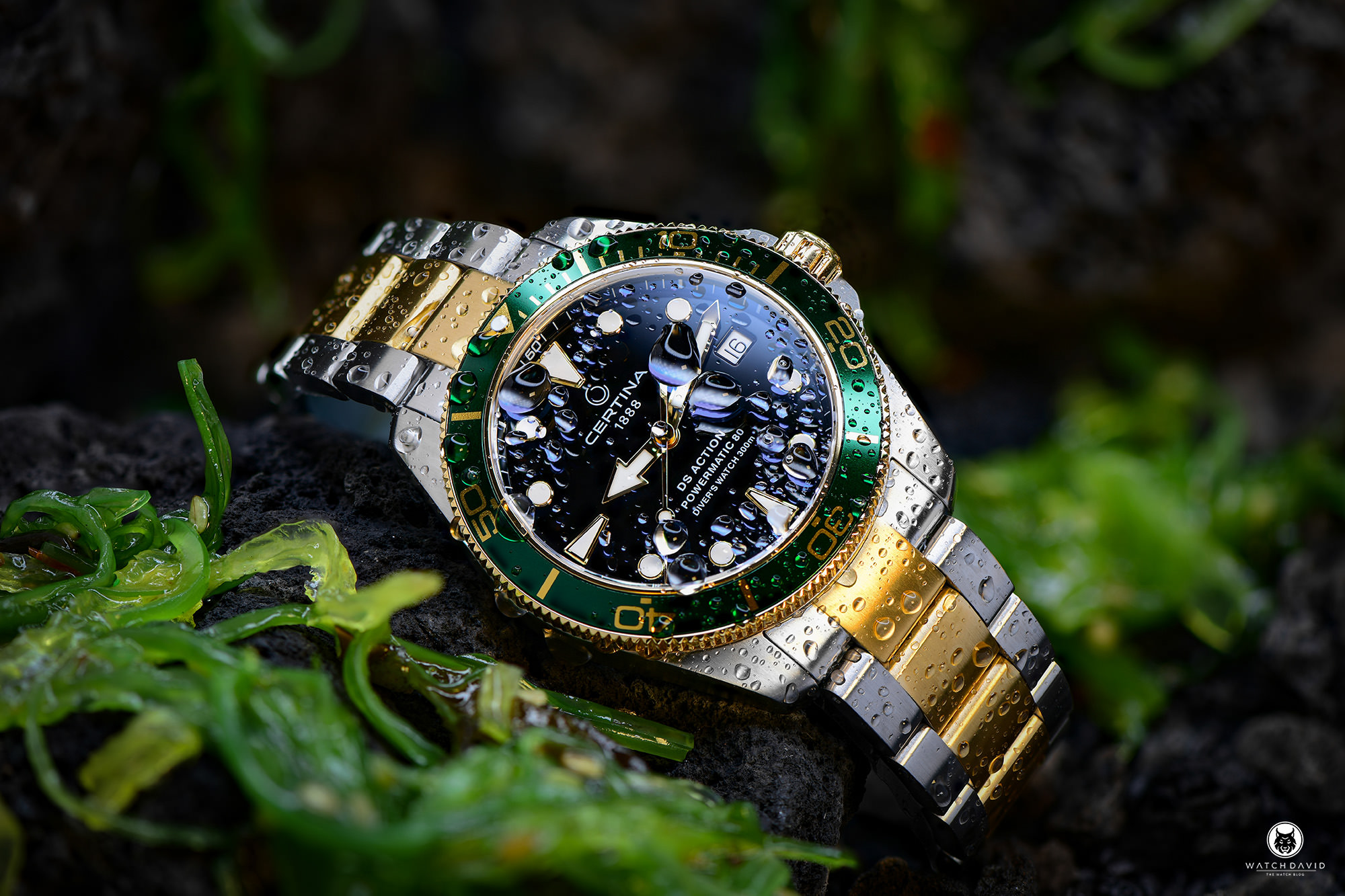 Certina DS Action Diver 38 Review